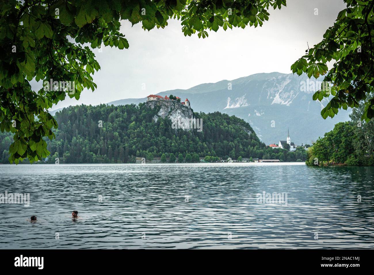 Lago di Bled con un castello di Bled in cima alla roccia e la chiesa Zupnijska cerkev svetega Martina, Bled, con un primo piano di persone in piscina Foto Stock