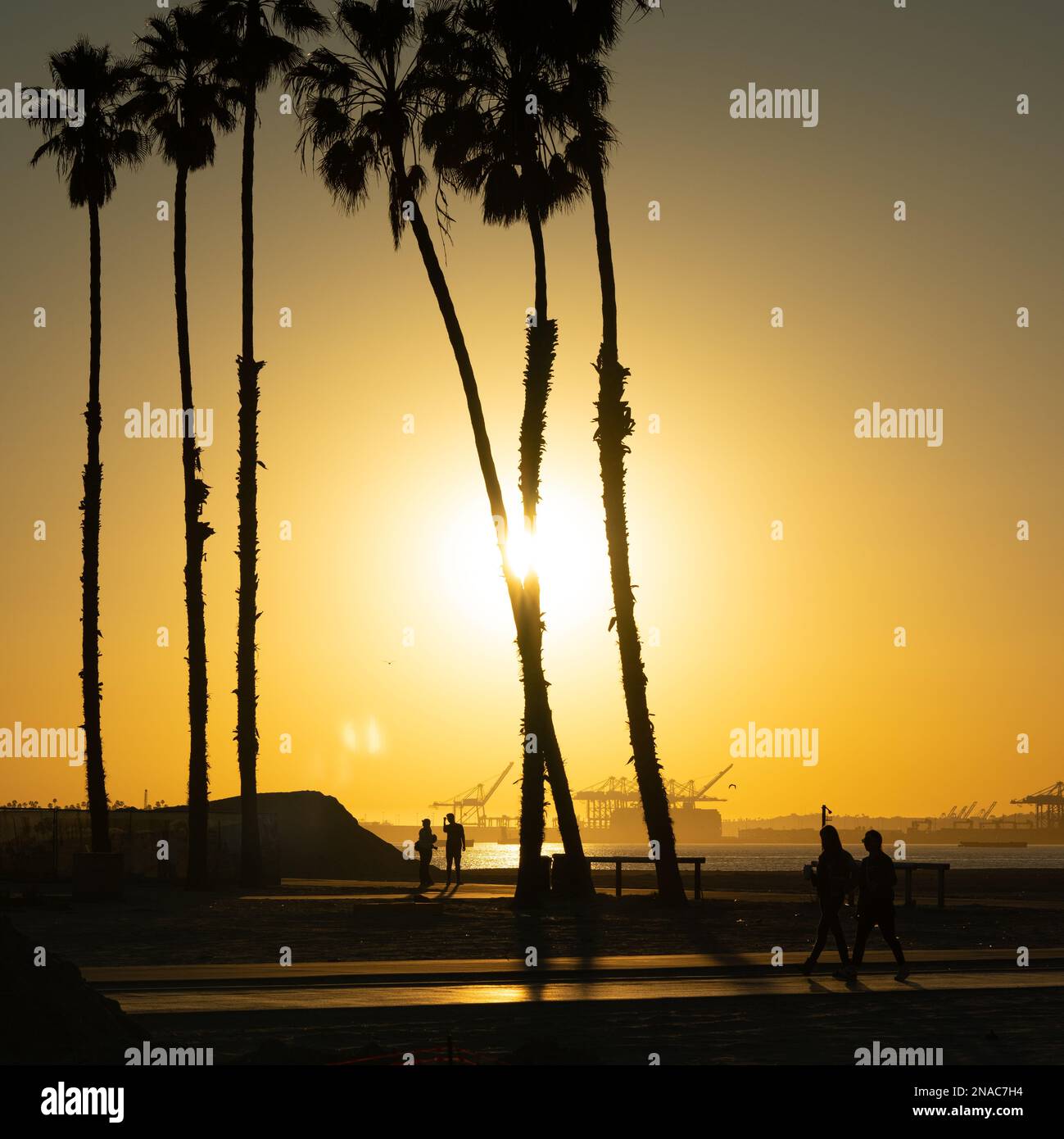 Long Beach, California, al tramonto Foto Stock
