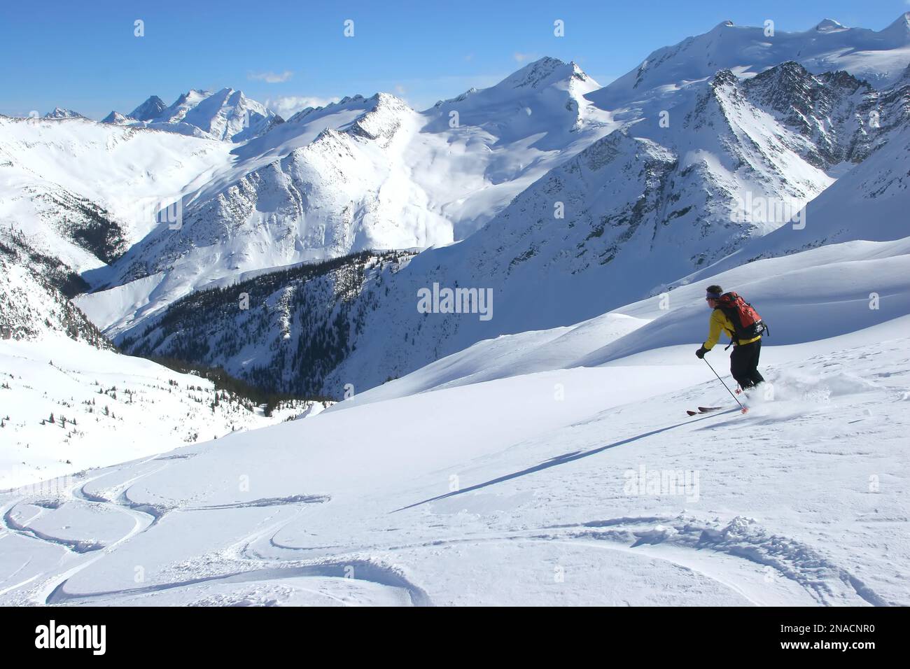 Uno sciatore solitario si dirige in discesa nelle Selkirk Mountains; British Columbia, Canada Foto Stock