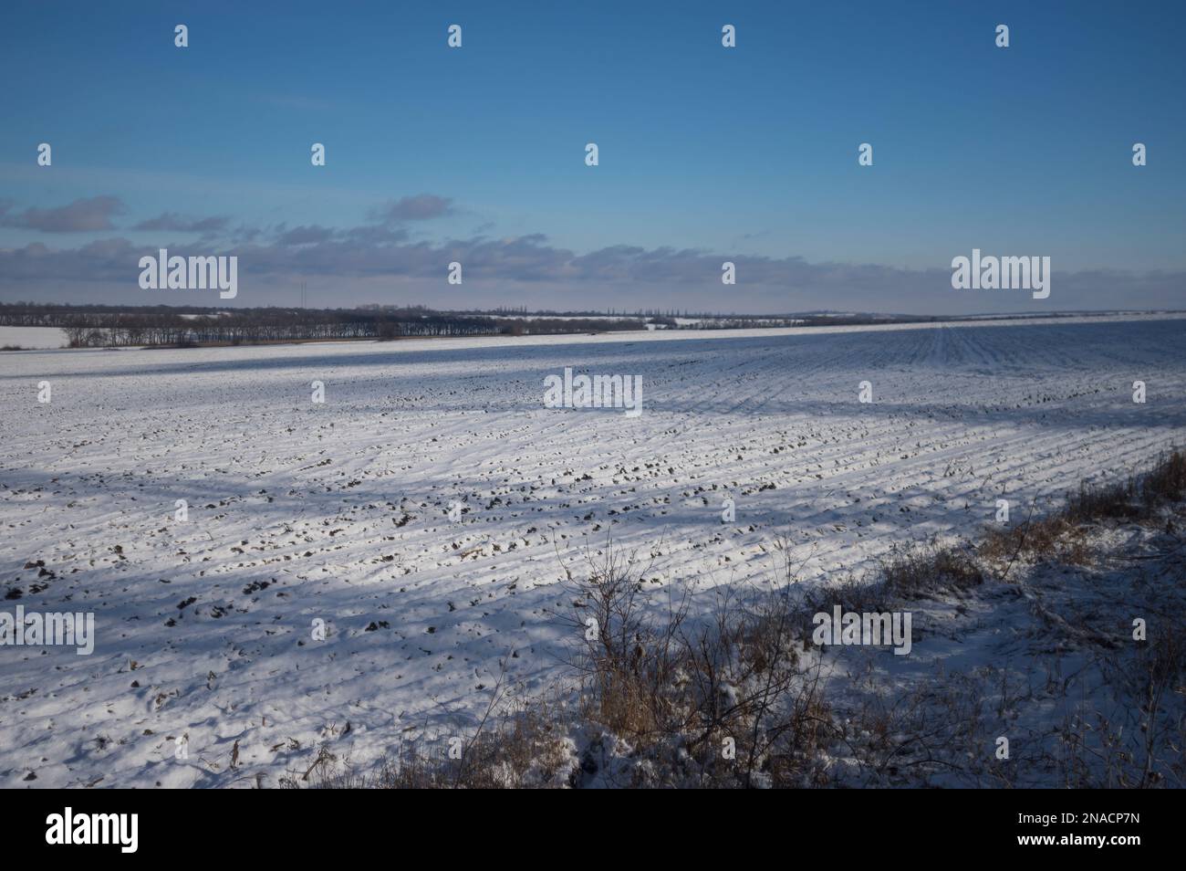 Paesaggio ucraino con filds agro-culturali lastricati di neve vicino Verkhnyodniprovsk città situata a Dnipropetrovsk Oblast (provincia) Foto Stock