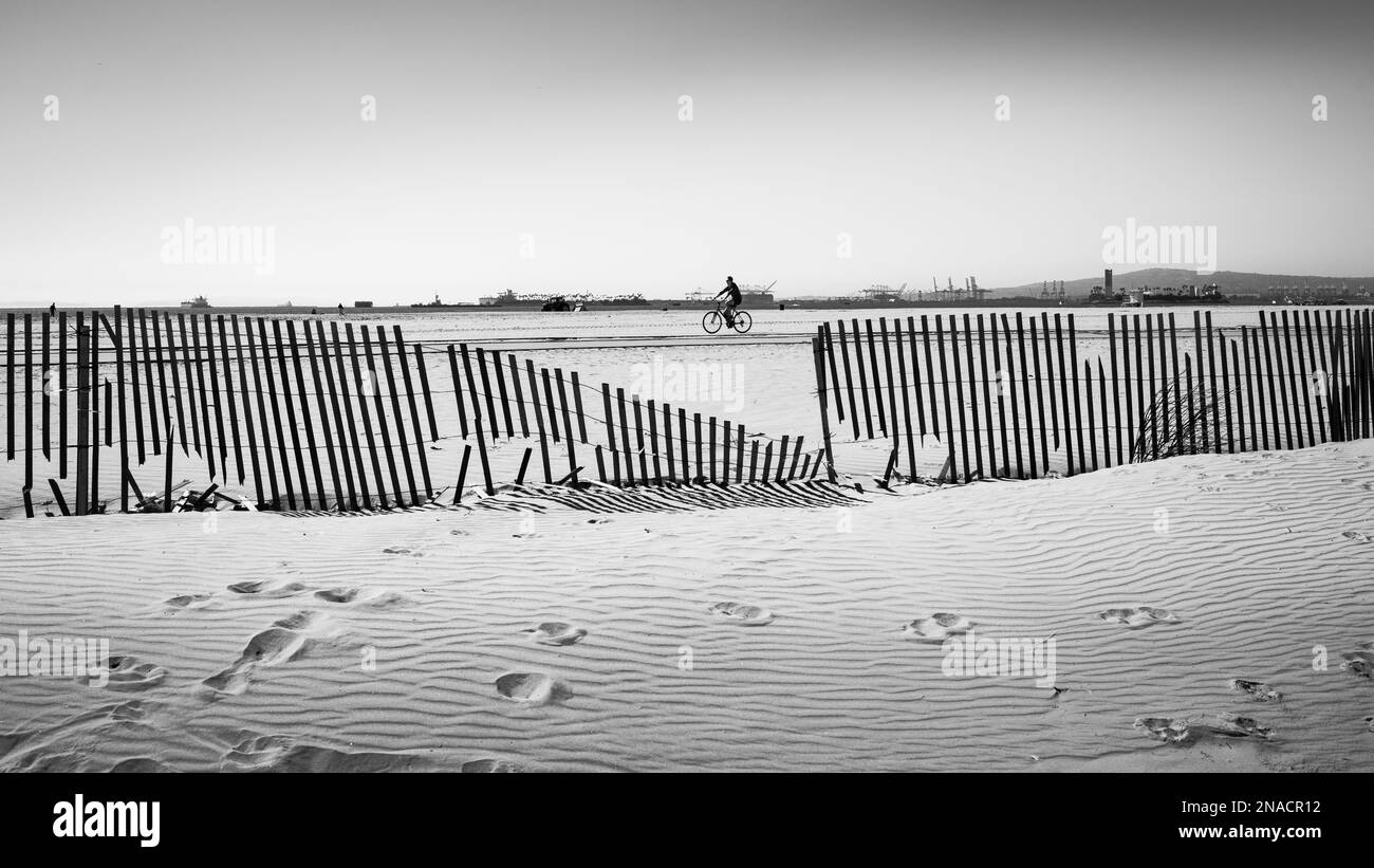 bianco e nero spiaggia paesaggio Foto Stock