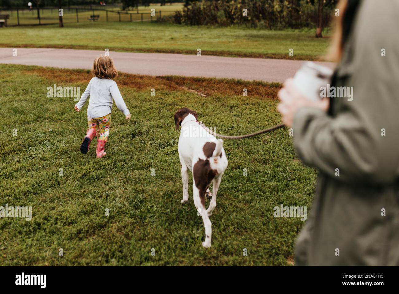 La famiglia cammina con gioco il cane all'aperto durante la caduta su un sentiero per passeggiate locale Foto Stock