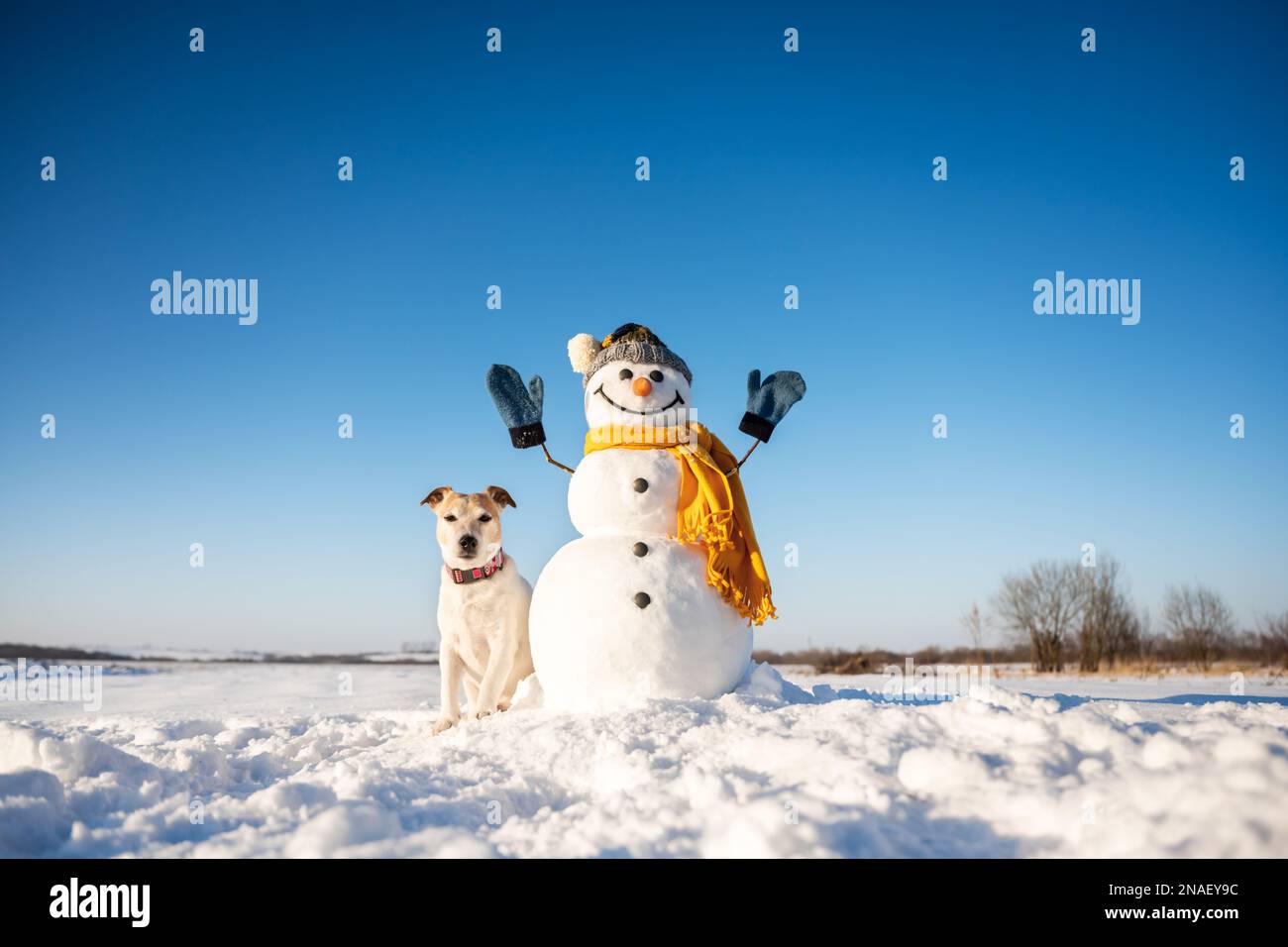 Simpatico pupazzo di neve in cappello lavorato a maglia e cuoio capelluto giallo con cagnolino russel terrier su campo innevato. Cielo blu sullo sfondo Foto Stock