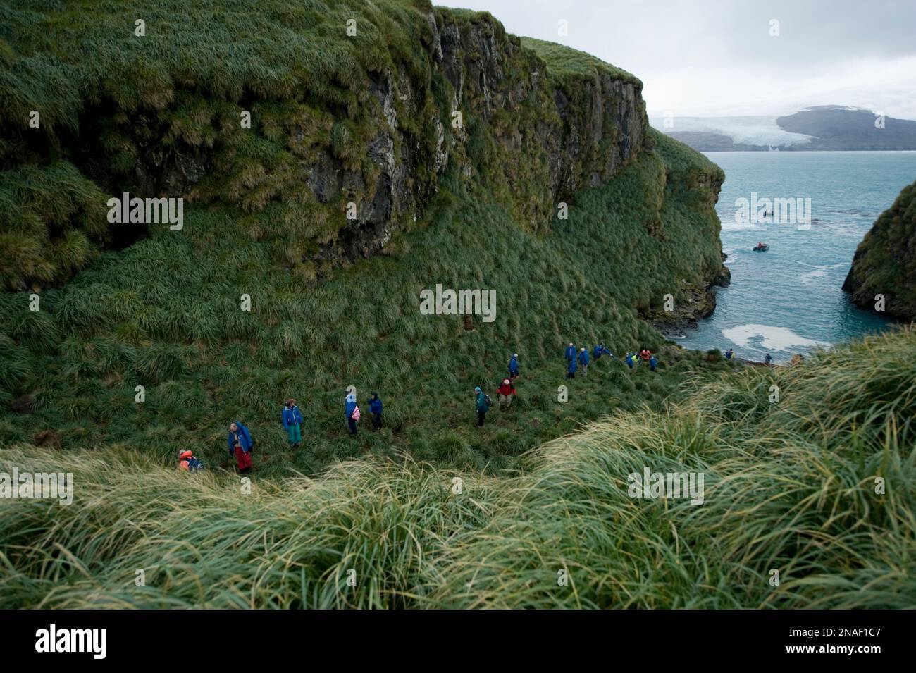 Ecoturisti della Georgia del Sud, dove Ernest Shackleton sbarcò; Isola della Georgia del Sud, territorio britannico d'oltremare Foto Stock