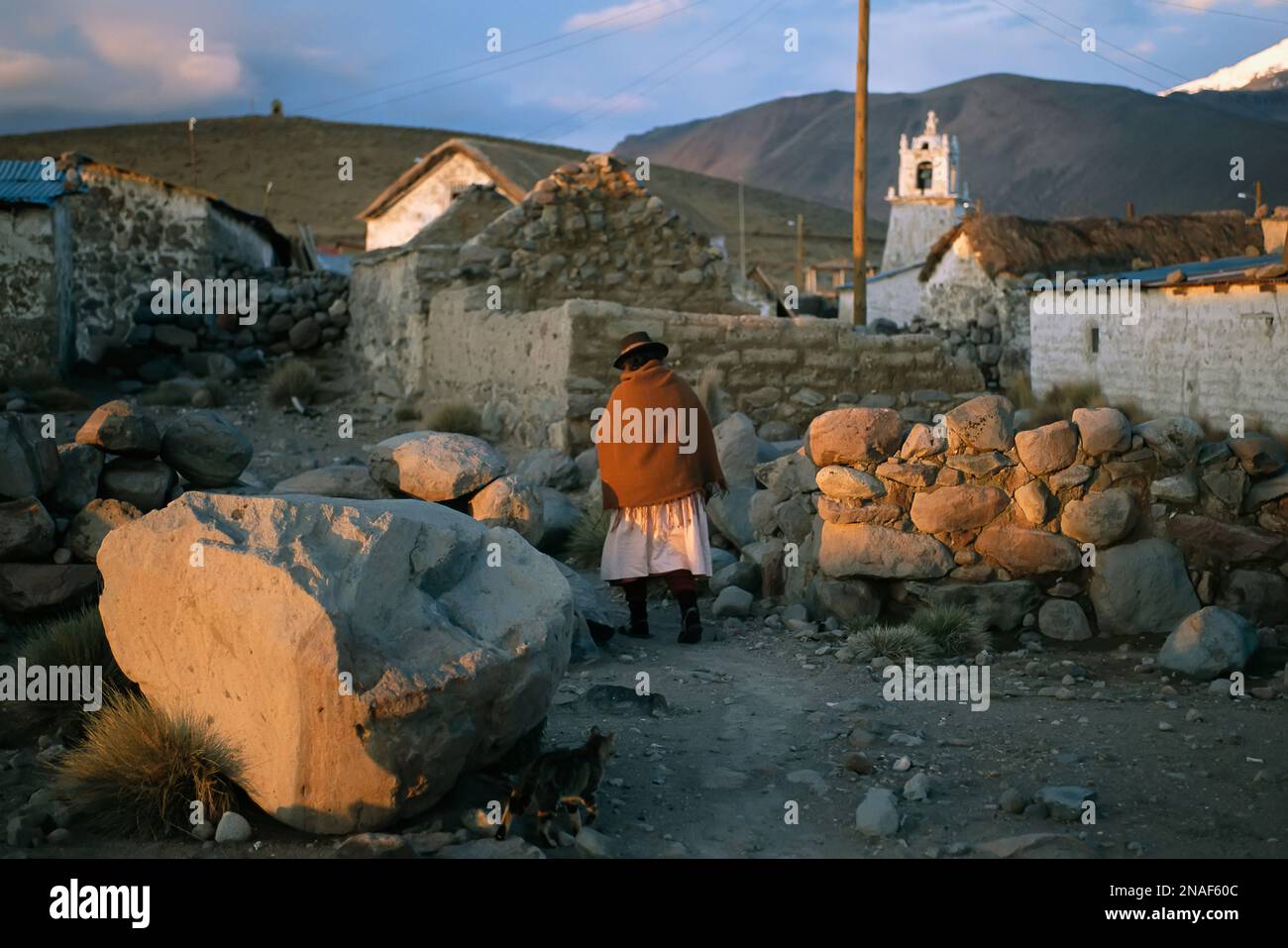 Una donna e un gatto Aymara su un sentiero in un villaggio del deserto di Atacama; Cile Foto Stock