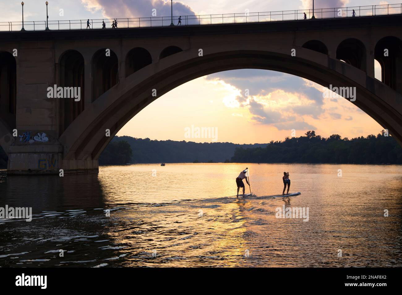 I Paddleboarders scivolano sul fiume Potomac sotto il Key Bridge a Georgetown; Georgetown, District of Columbia, Stati Uniti d'America Foto Stock