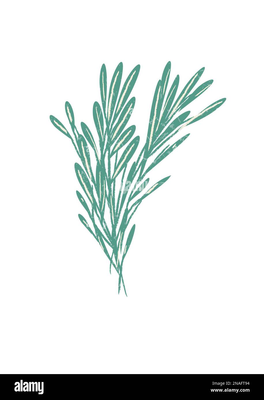 Menopausa naturale mano disegnata illustrazione rimedi a base di erbe sana alimentazione Foto Stock