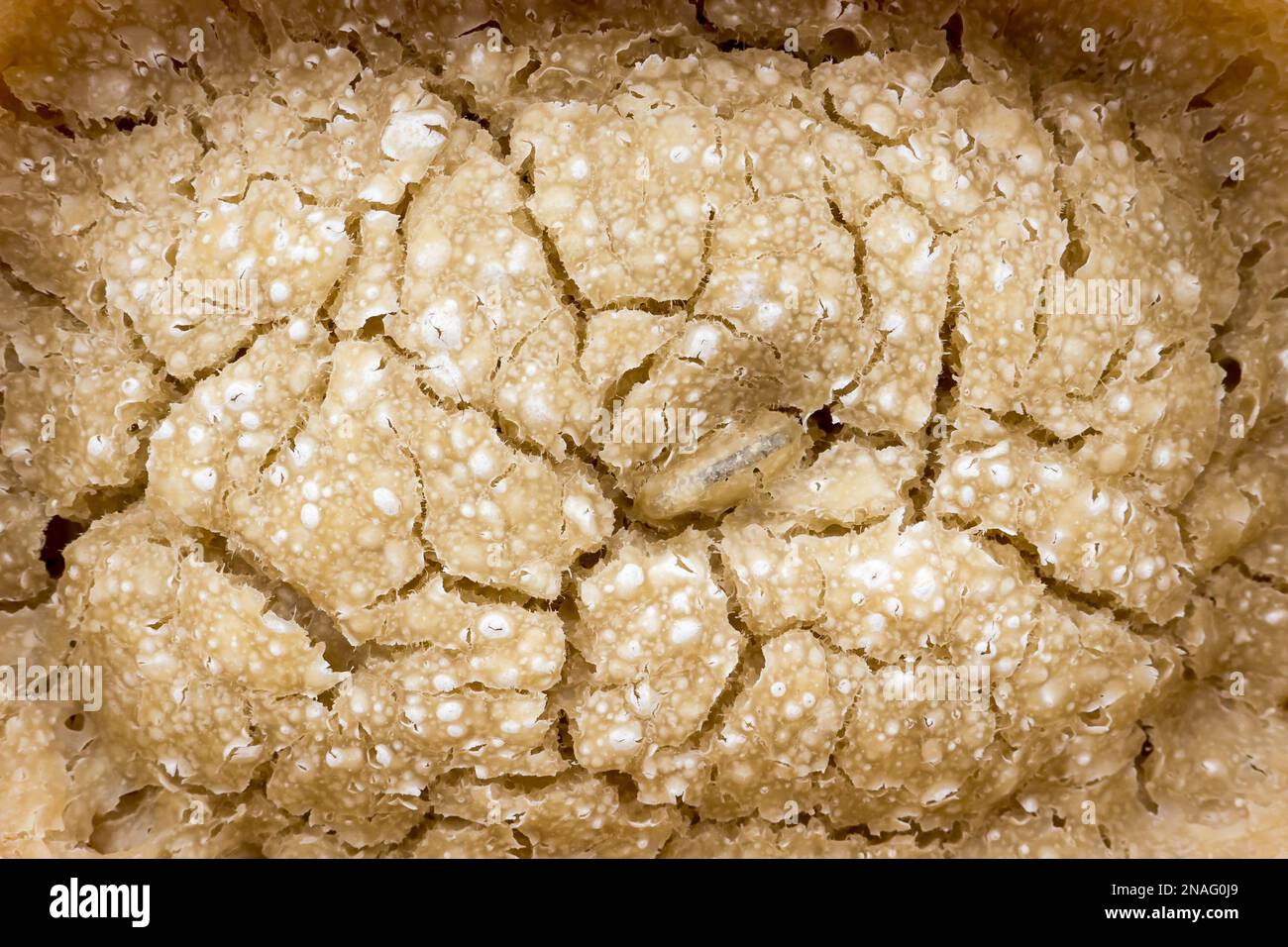 Pane guastato. Foto Stock