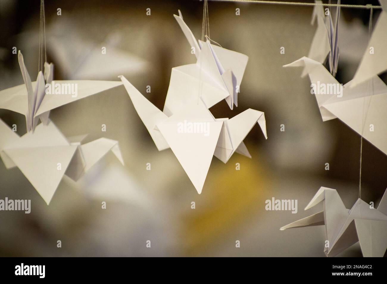Giapponese ripiegato Origami gru appese con corde. Centinaia di uccelli di carta fatti a mano isolati con spazio di copia. 1000 tema scultura tsuru gru. Simbolo di pace, fede, salute, desideri, speranza Foto Stock