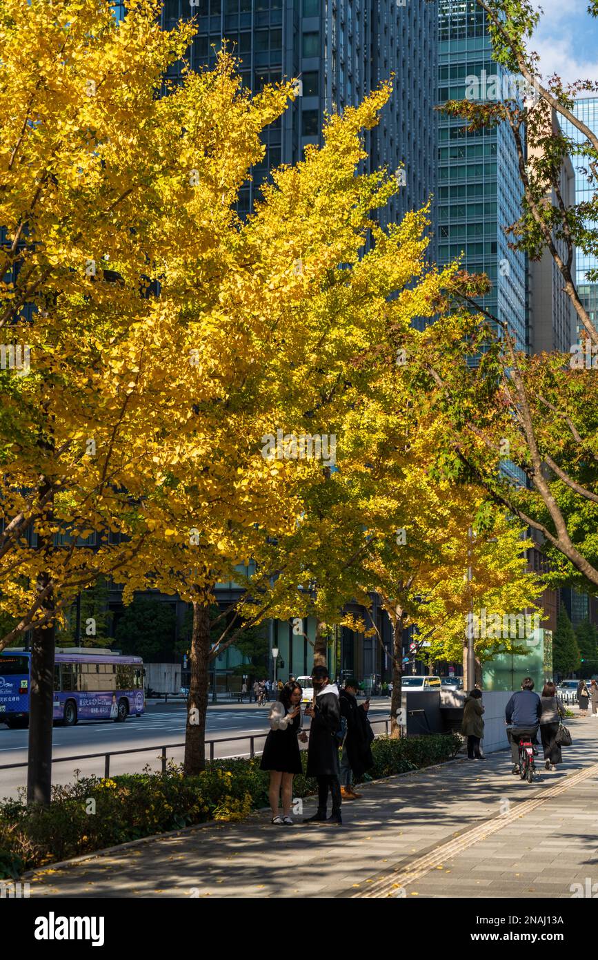 Marunouchi, Stazione di Tokyo, Tokyo. (Novembre 2022) Foto Stock