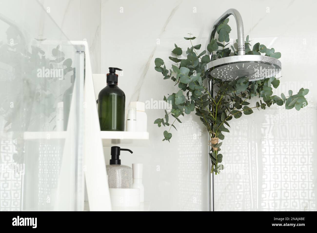 Mazzetto di Eucalipto Fresco per Decorazione Bagno e Casa