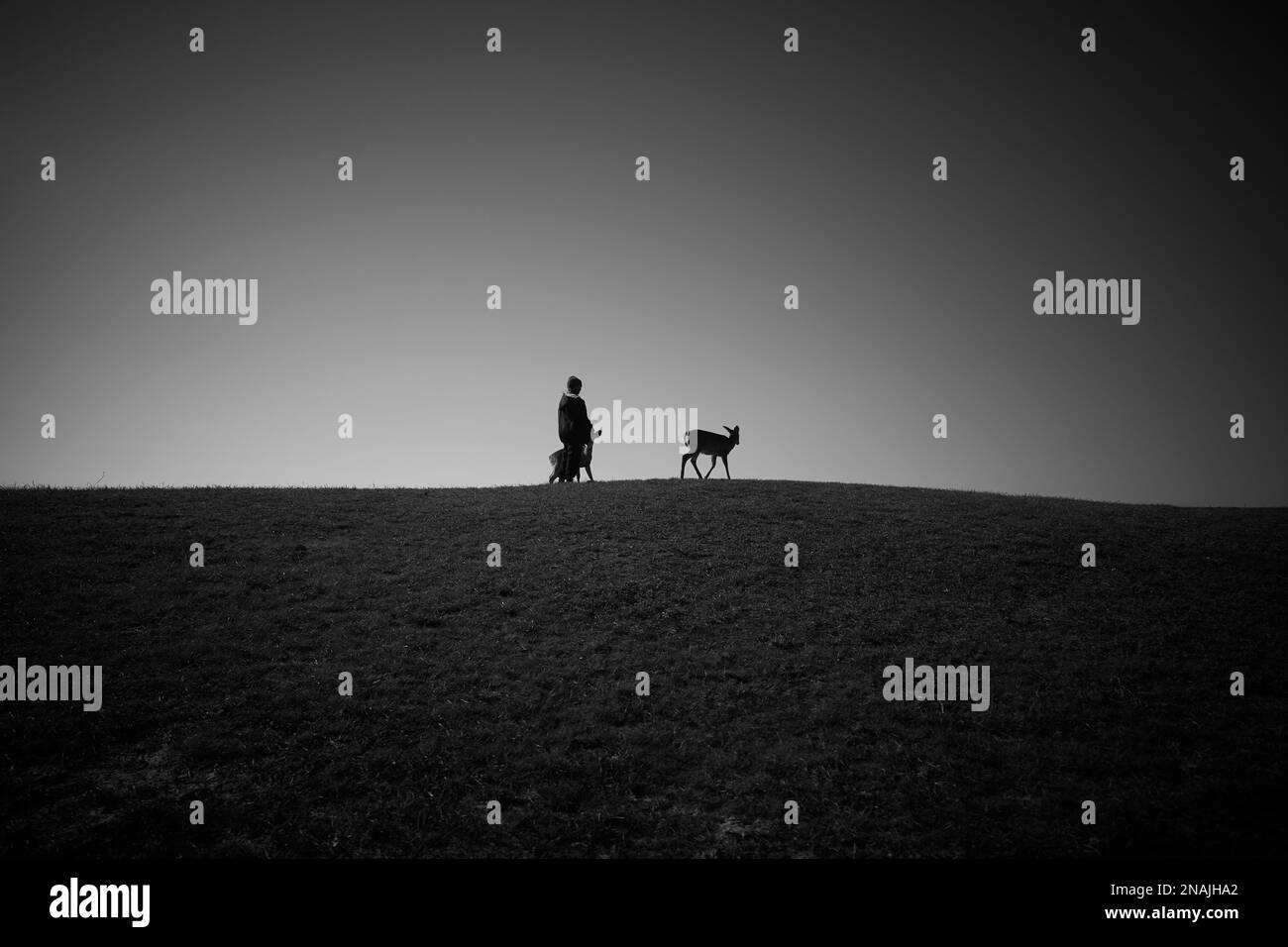 Bambino che cammina su una collina d'erba con due giovani cervi Foto Stock