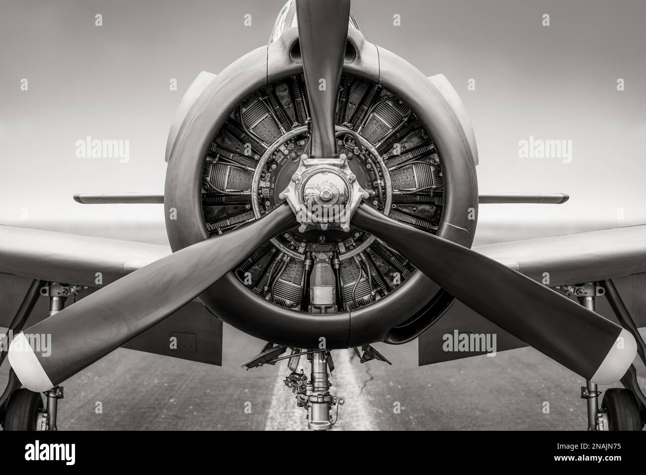 primo piano di un'elica di un aereo storico Foto Stock