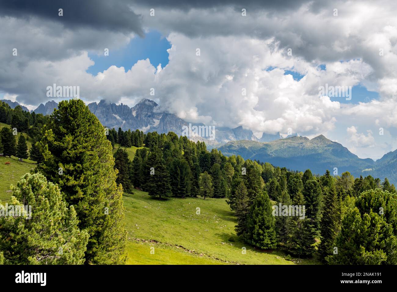 Paesaggio del Parco Naturale del Paneveggio pale di San Martino in Tonadico, Trentino, Italia Foto Stock