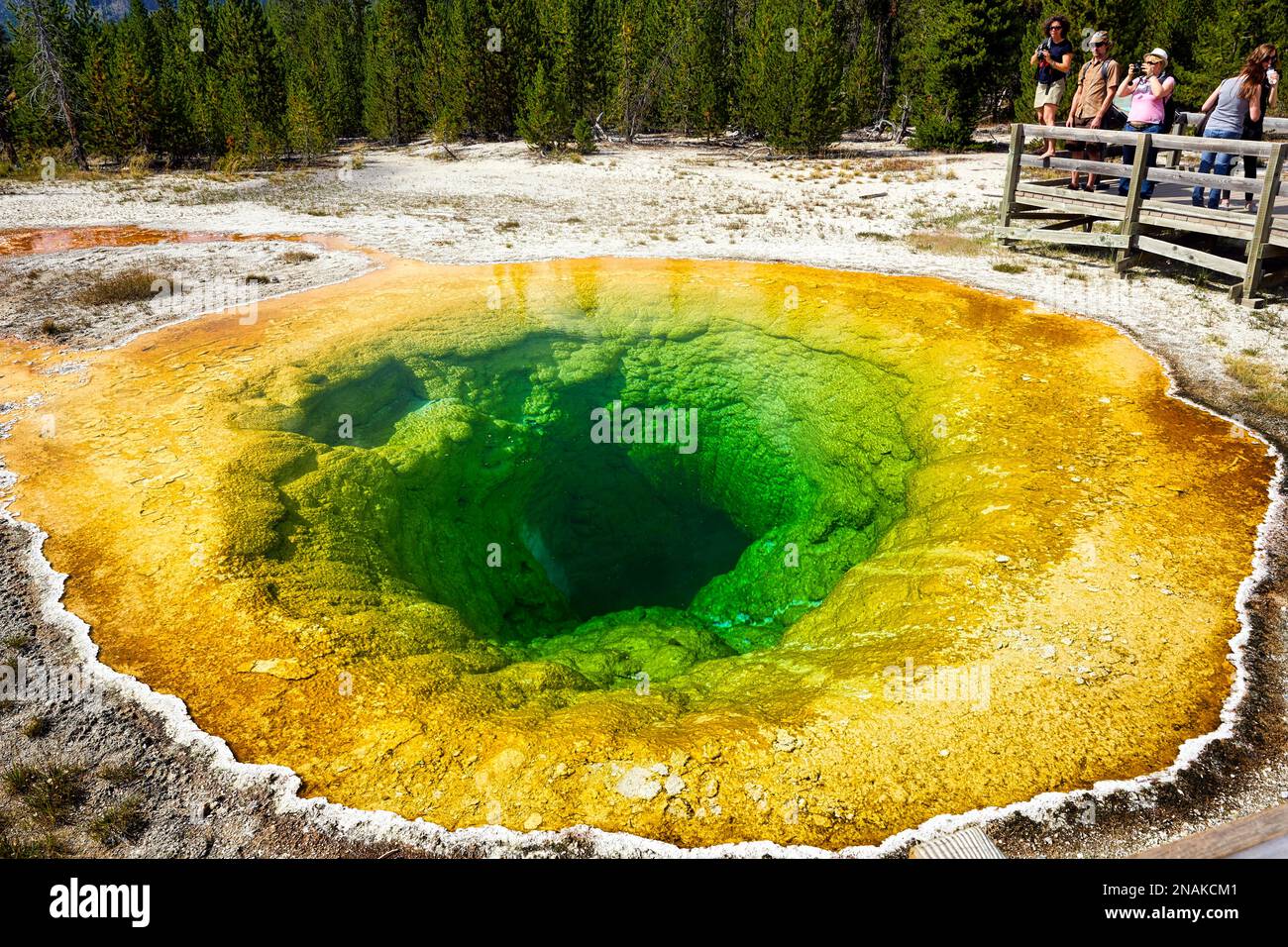 Piscina mattutina Glory nel parco nazionale di Yellowstone. Wyoming. STATI UNITI Foto Stock