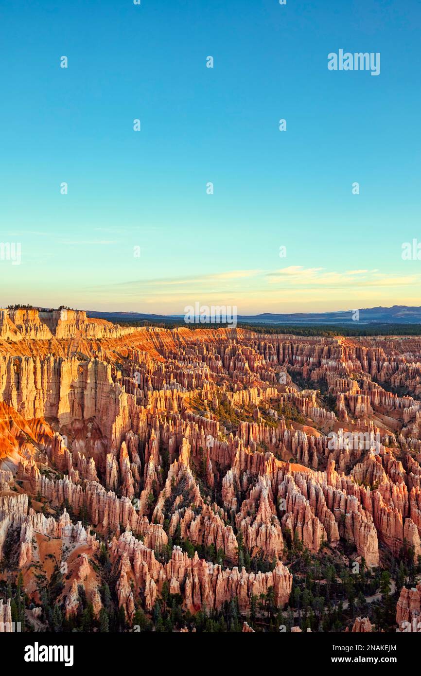 Alba al punto panoramico di Bryce Point nel Bryce Canyon National Park. Utah Stati Uniti Foto Stock