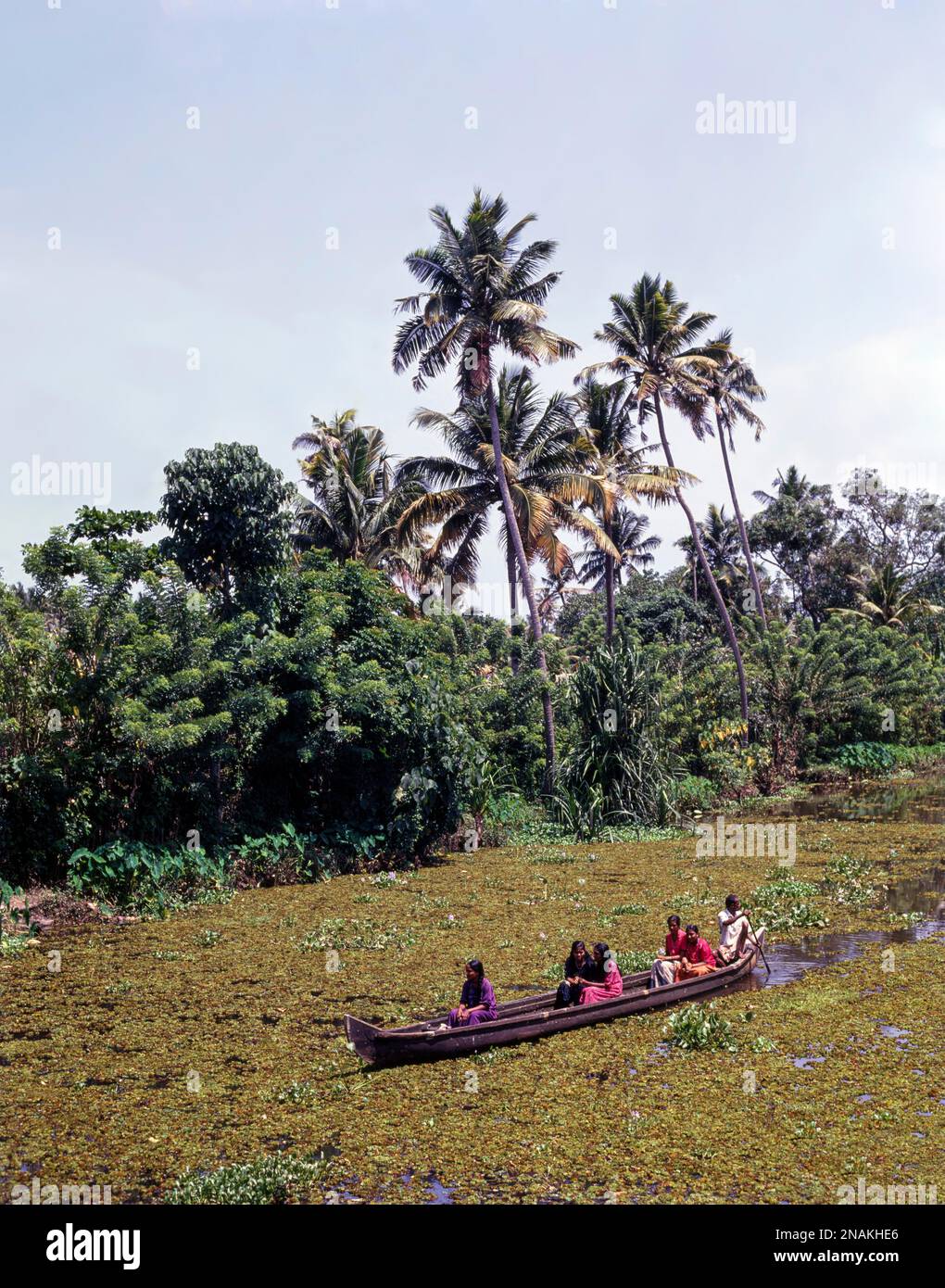 Turisti che godono Backwaters di Allapey, Allapuzha, Kerala, India Foto Stock