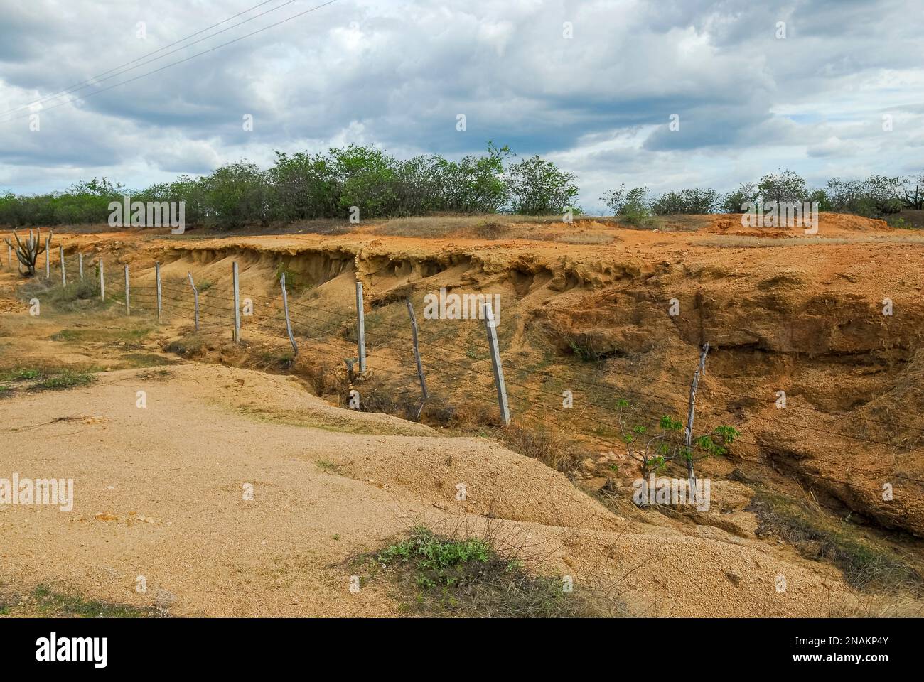Suolo nel processo di desertificazione nella regione semi-arida nordorientale. Pombal, Paraiba, Brasile il 13 novembre 2011. Foto Stock
