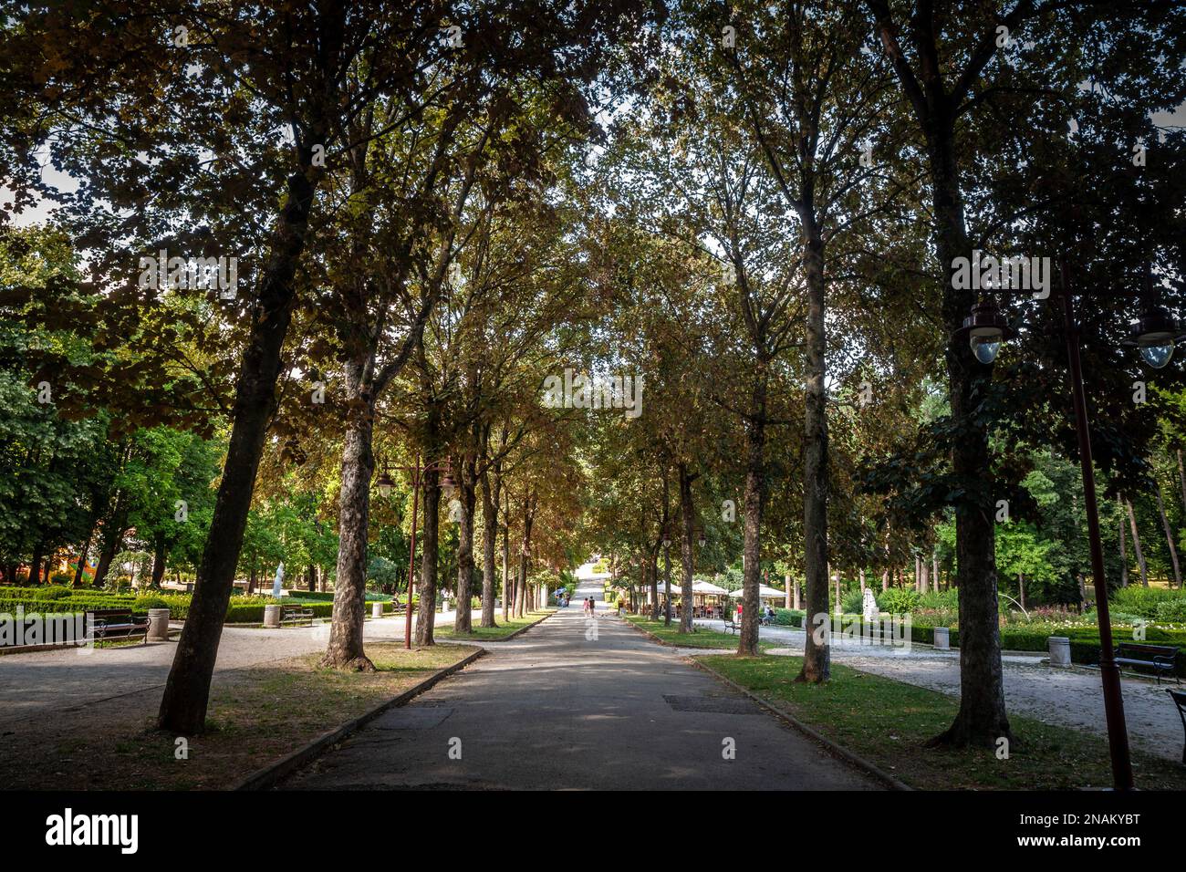 Immagine di una strada principale di Park Bukovicke Banje in Arandjelovac, serbia. Foto Stock