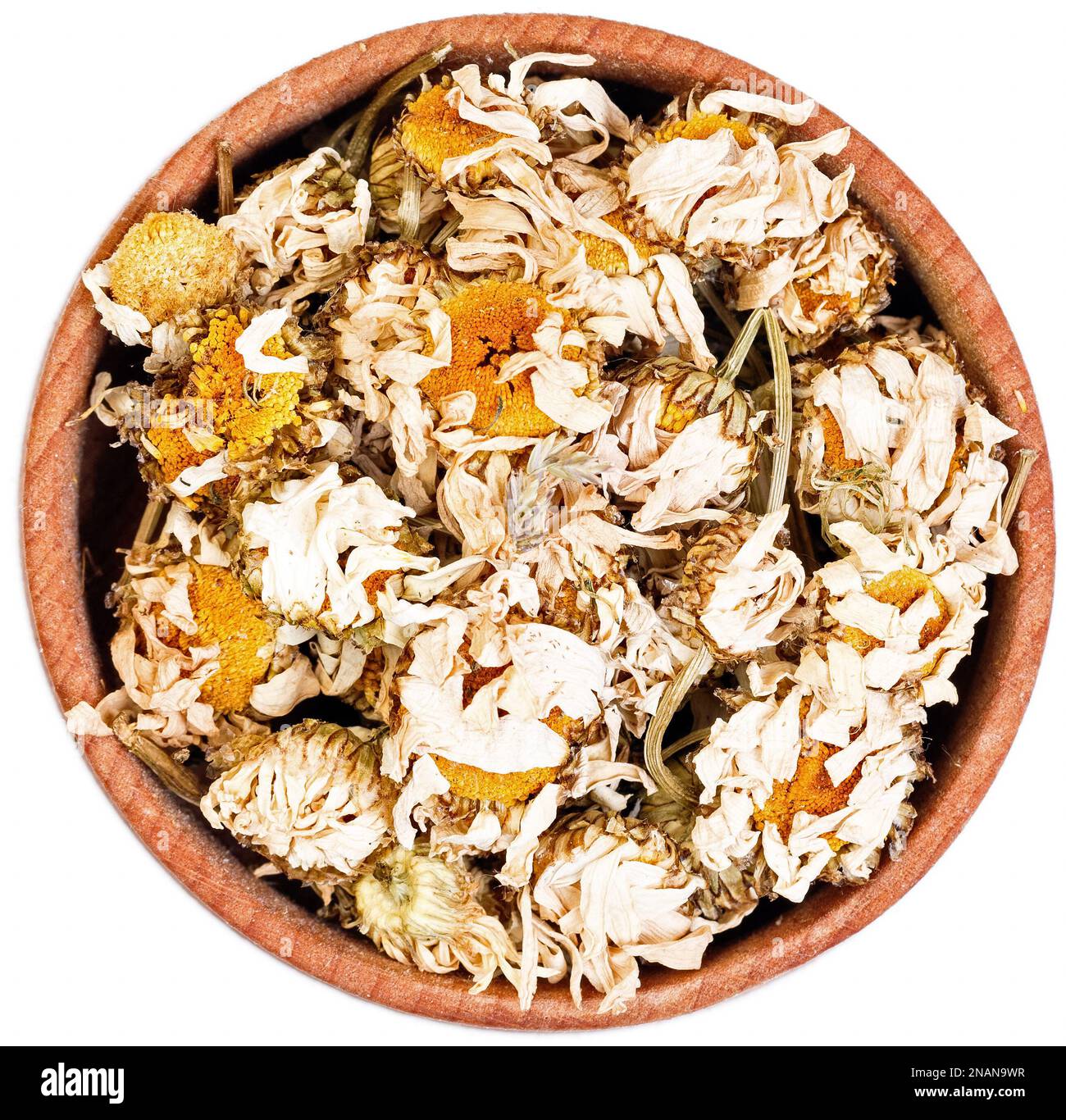 Tè alle erbe di camomilla in un piccolo arco di legno isolato su bianco. Foto Stock