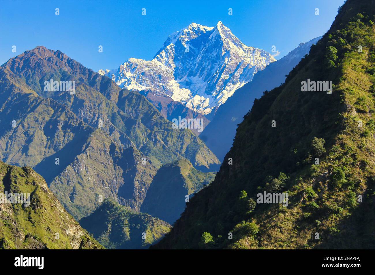 Una vista di Nilgiri Himal, una montagna di 7061 metri nel massiccio dell'Annapurna vista dal sentiero verso Chomrong nel percorso del circuito di Annapurna Foto Stock
