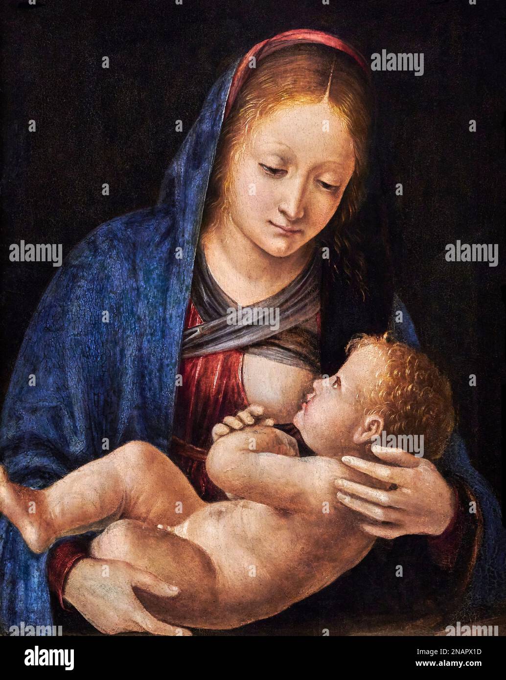 Madonna che allatta il Bambino - olio su tavola - Bernardo Zenale - 1505 - Bergamo, Accademia Carrara Foto Stock