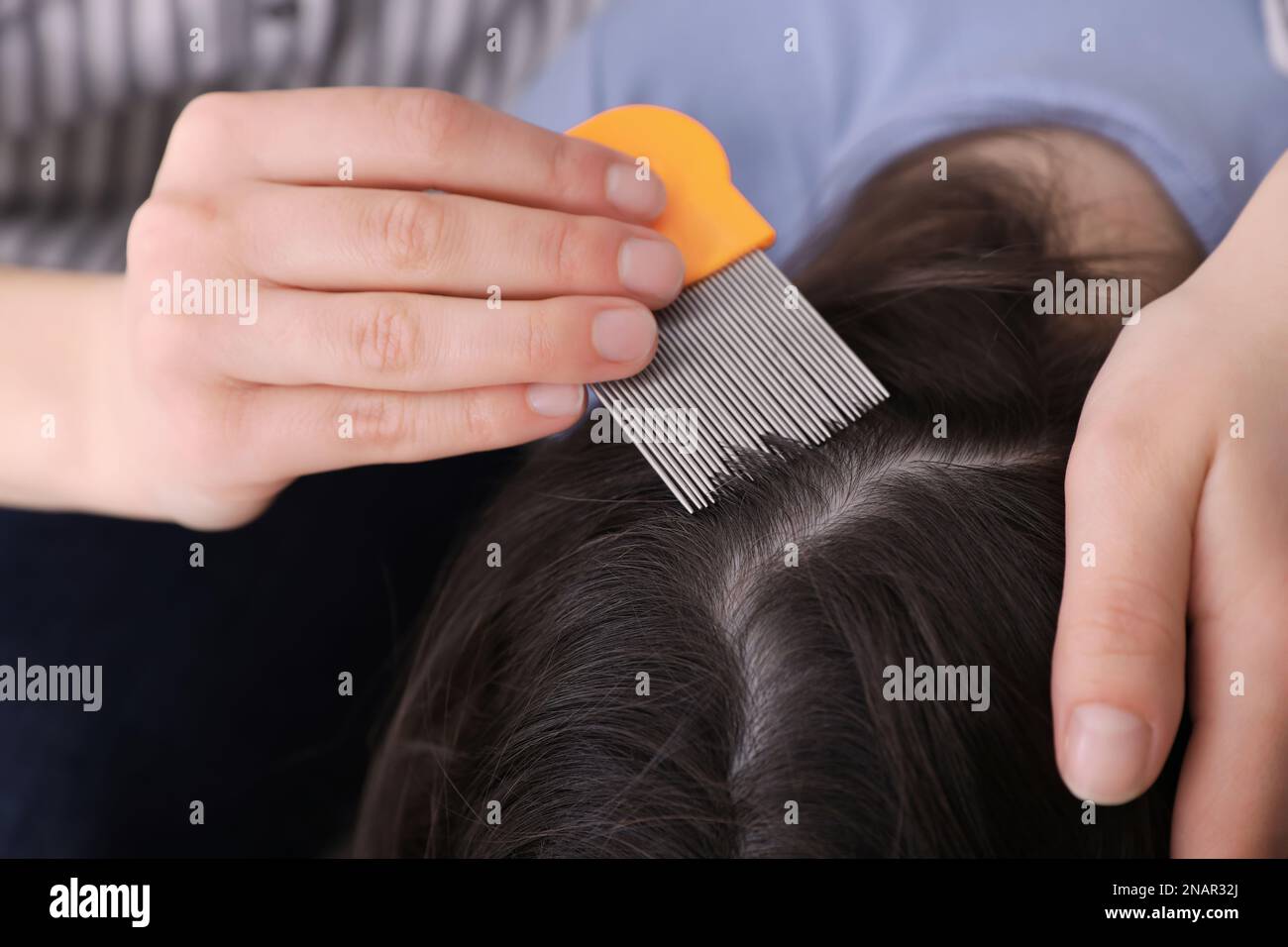 Madre che usa il pettine nit sui capelli di sua figlia all'interno. Trattamento antighiaccio Foto Stock