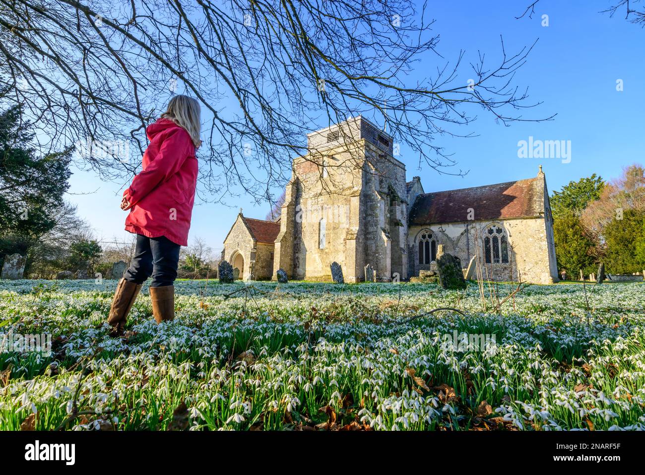 Damerham, Fordingbridge, Hampshire, Inghilterra, Regno Unito, 13th febbraio 2023: Le gocce di neve (Galanthus nivalis) tappezzano il sagrato della chiesa di San Giorgio in primavera con cielo blu e sole caldo. Credit: Paul Biggins/Alamy Live News Foto Stock