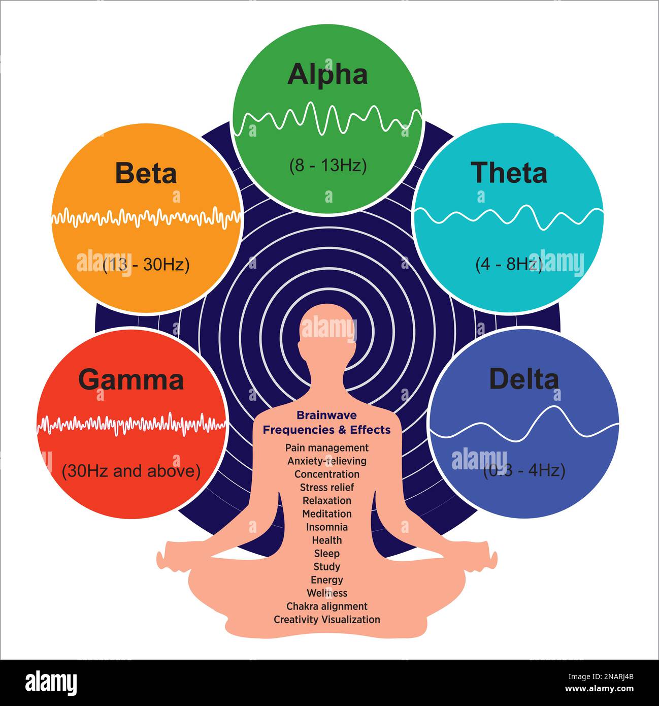 Praticare regolarmente la meditazione può aiutare a indurre uno stato d'animo calmo, promuovendo una vita senza stress regolando le onde cerebrali. L'ampiezza dell'EEG. Illustrazione Vettoriale