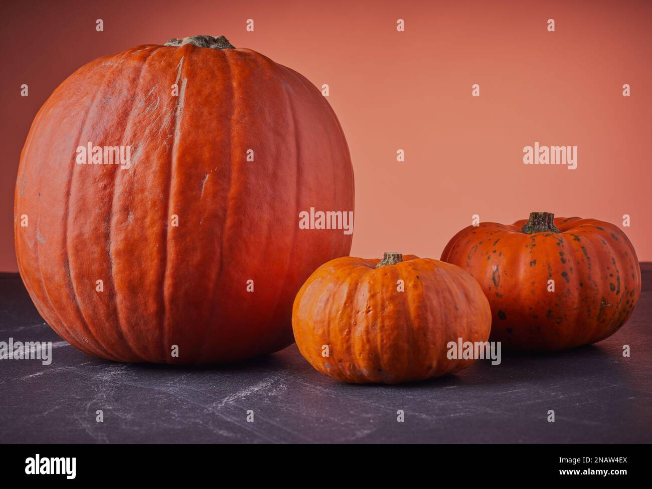 Zucche di dimensioni diverse da grandi a piccole Foto Stock