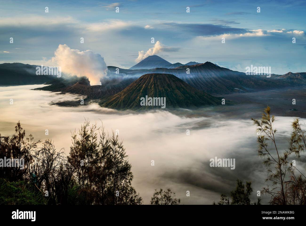 Mattina vista panoramica del vulcano di Monte bromo, Giava Orientale, Indonesia. Foto Stock