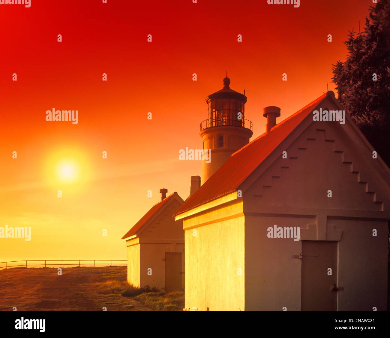 HACETA HEAD LIGHTHOUSE DEVILS GOMITO STATE PARK FLORENCE OREGON USA Foto Stock