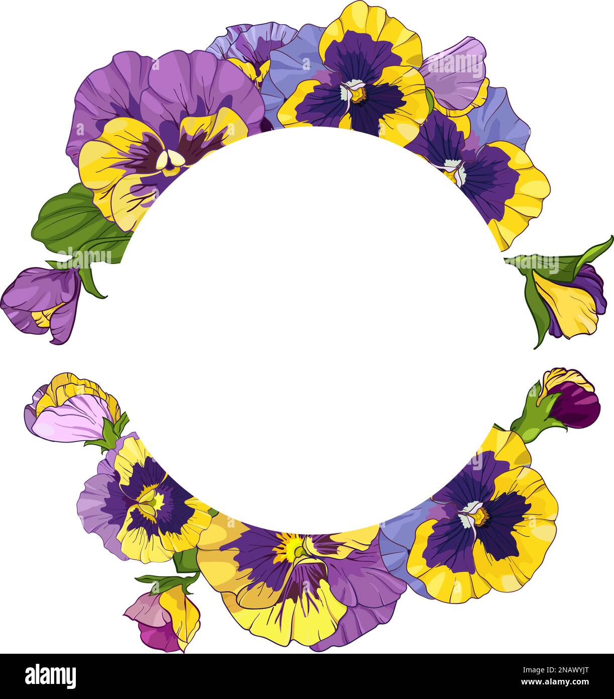 cornice rotonda con fiori in padella, viola da corona, fiori gialli e viola ornamento foglie verdi , illustrazione vettoriale Illustrazione Vettoriale