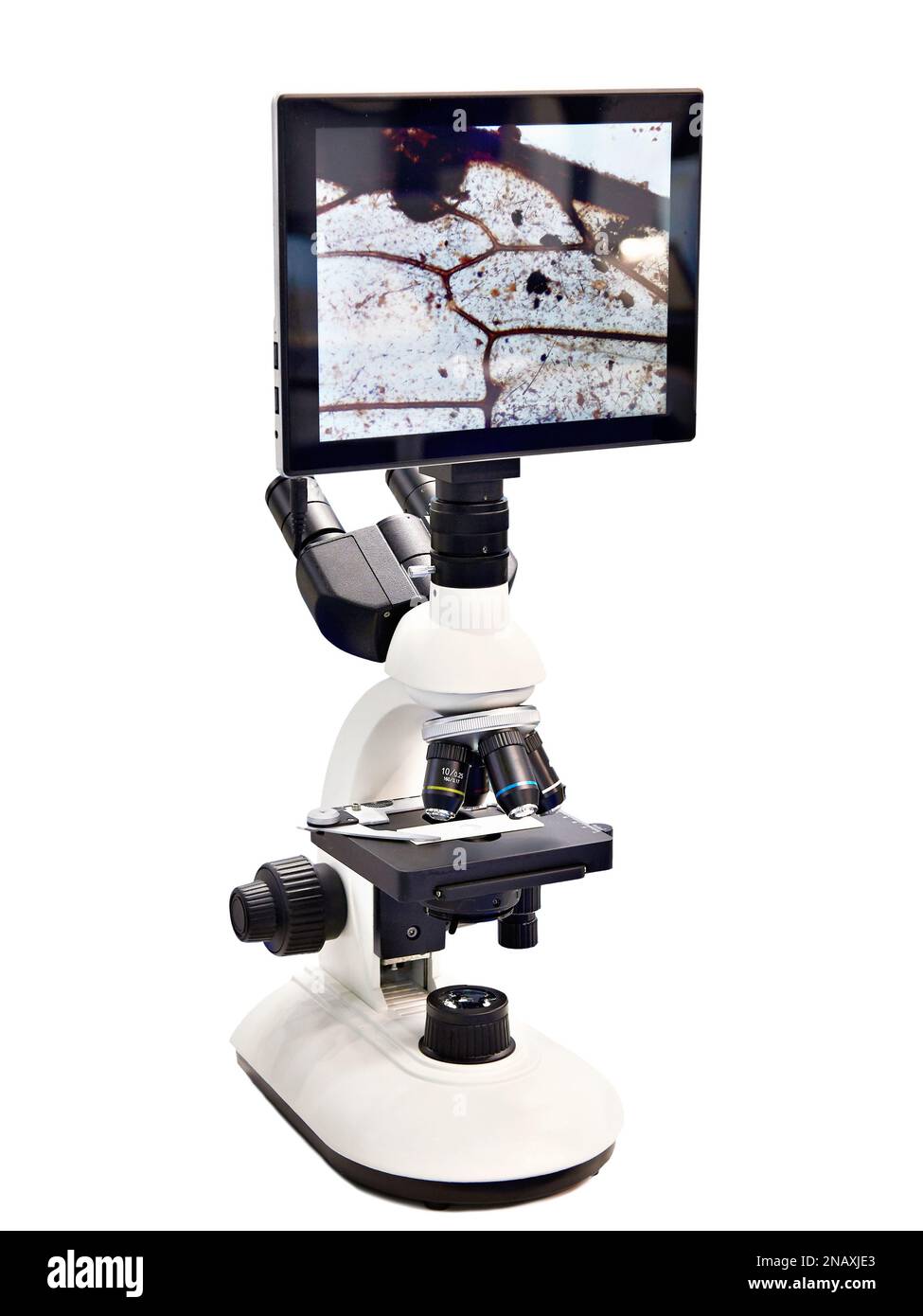 Stereomicroscopio per ricerca con monitor con sfondo bianco isolato Foto Stock