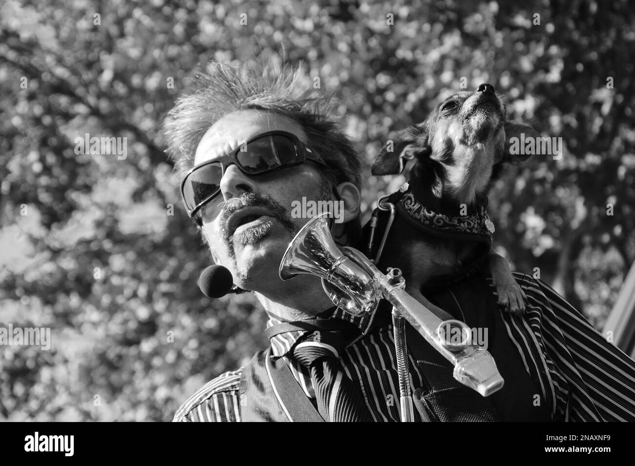 PARIGI, FRANCIA - 3 OTTOBRE 2015: Musicista non identificato e il suo cane suonano e cantano divertendo i partecipanti alla parata Zombie. Foto in bianco e nero Foto Stock