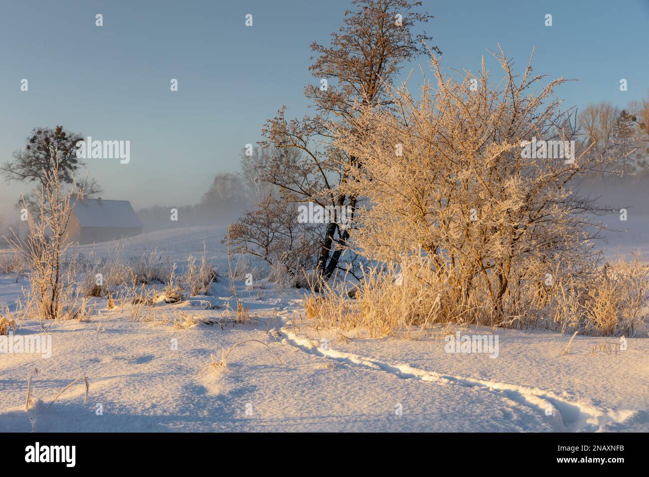 Voivodato Warmian-Masuriano, scena invernale, Polonia Foto Stock