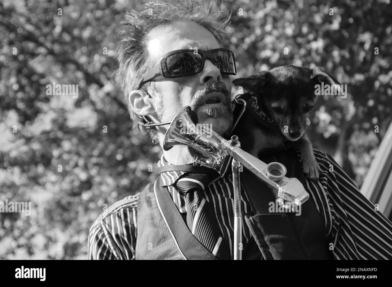 PARIGI, FRANCIA - 3 OTTOBRE 2015: Musicista non identificato e il suo cane suonano e cantano divertendo i partecipanti alla parata Zombie. Foto in bianco e nero Foto Stock