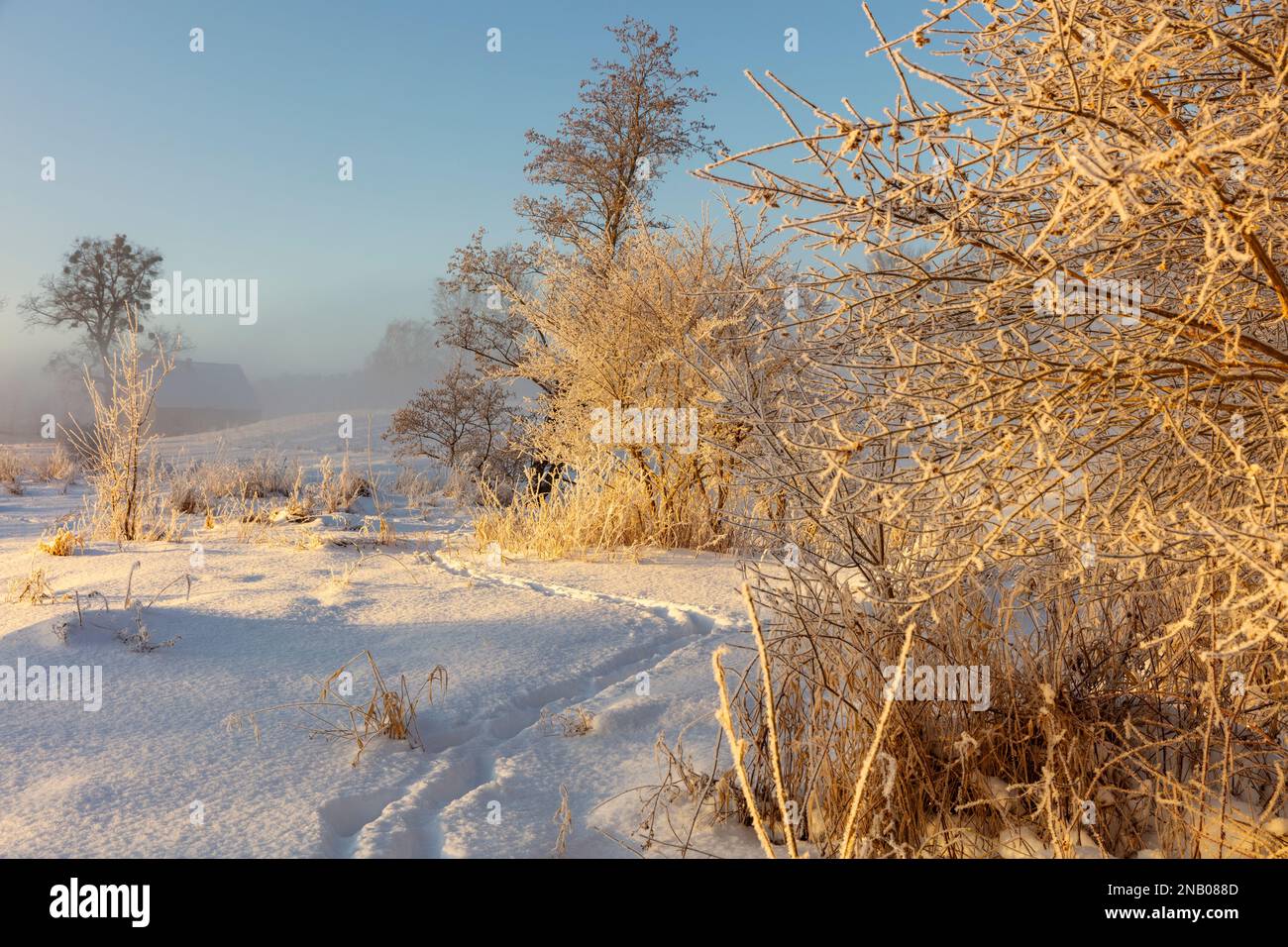 Voivodato Warmian-Masuriano, scena invernale, Polonia Foto Stock