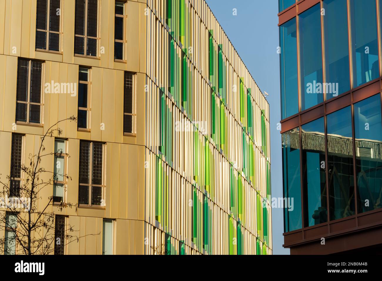 Alti edifici presso il parco scientifico Newcastle Helix - innovativo centro di ricerca a Newcastle upon Tyne, Regno Unito. Foto Stock