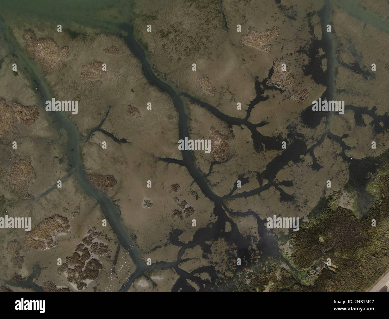 I sentieri d'acqua nelle zone paludose intorno a Bosham, Chichester Harbour, creano motivi interessanti. Foto Stock