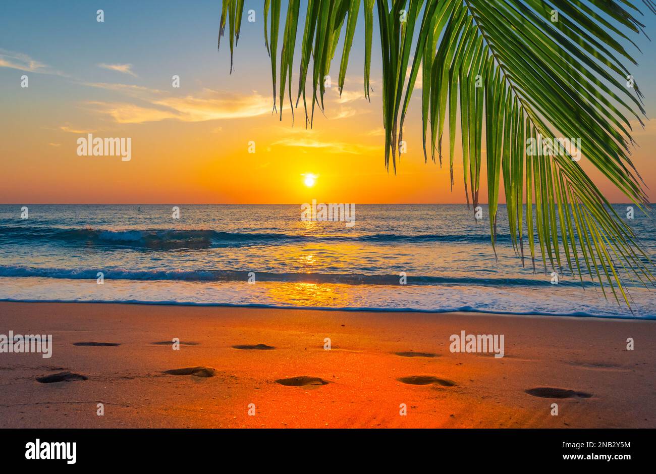 Splendido paesaggio tropicale della spiaggia al tramonto. Foto Stock