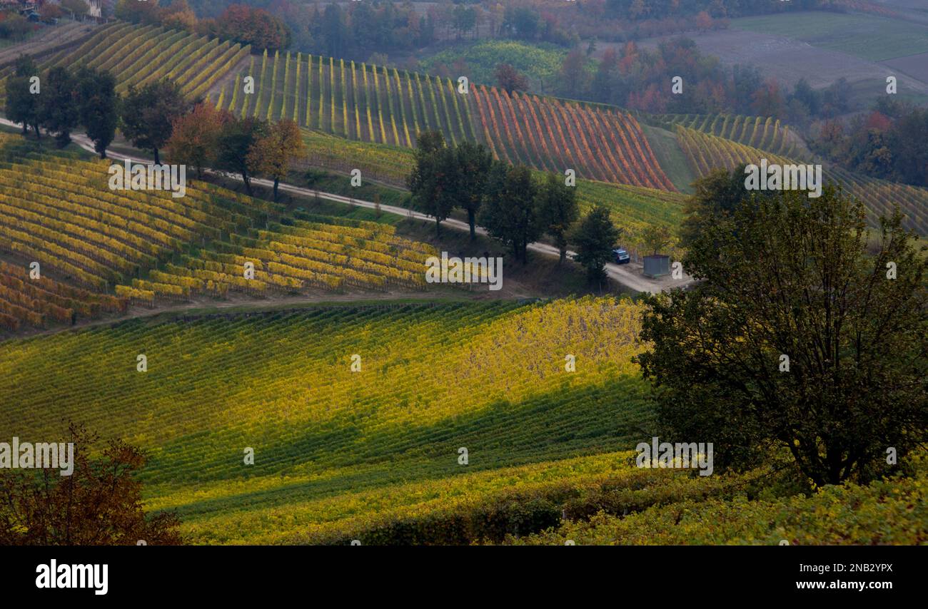 Splendidi vigneti e colline colorate all'inizio dell'autunno, Langhe, Piemonte, Italia Foto Stock