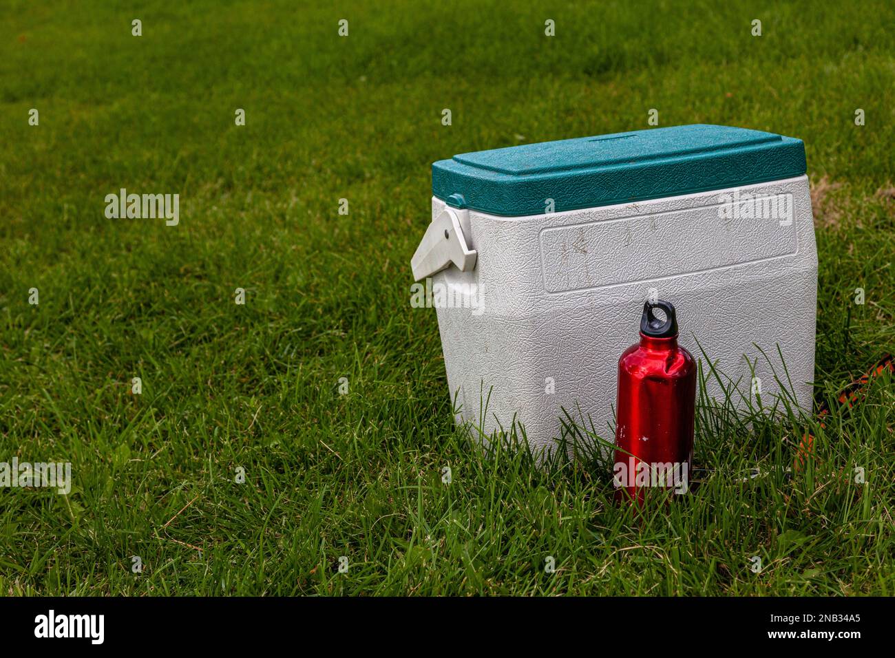 Scatola refrigerante bianca con coperchio verde e bottiglia d'acqua rossa su prato verde Foto Stock