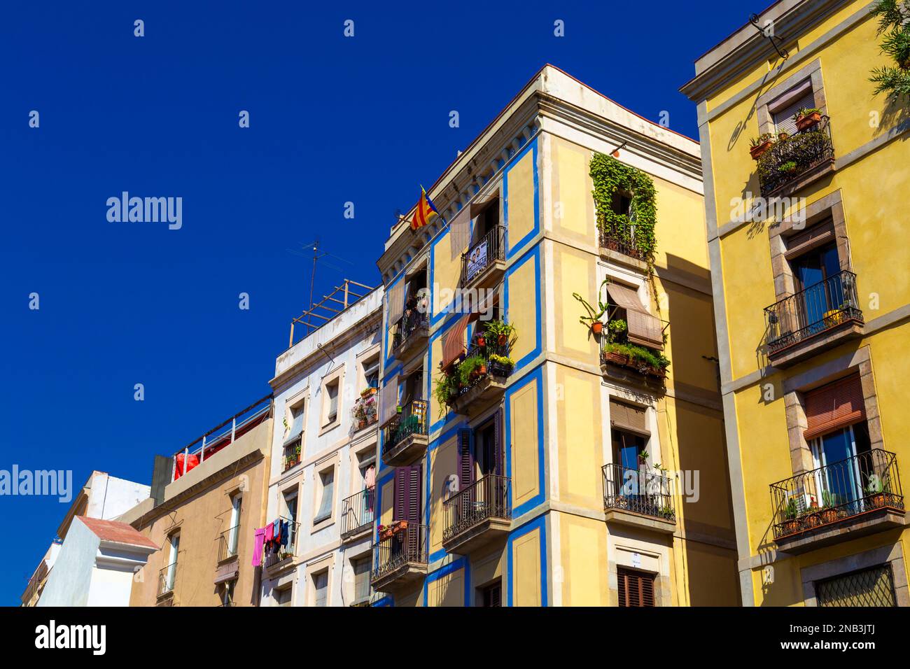 Edifici residenziali storici che circondano il mercato di Santa Caterina, il quartiere Gotico, Barcellona, Catalogna, Spagna Foto Stock