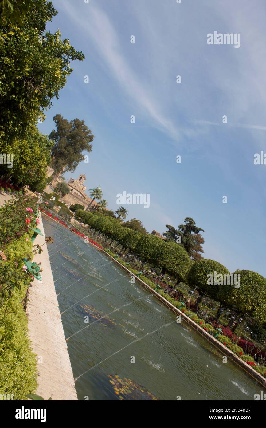 Giardini di Alcazar, Cordoba, Andalusia, Spagna Foto Stock