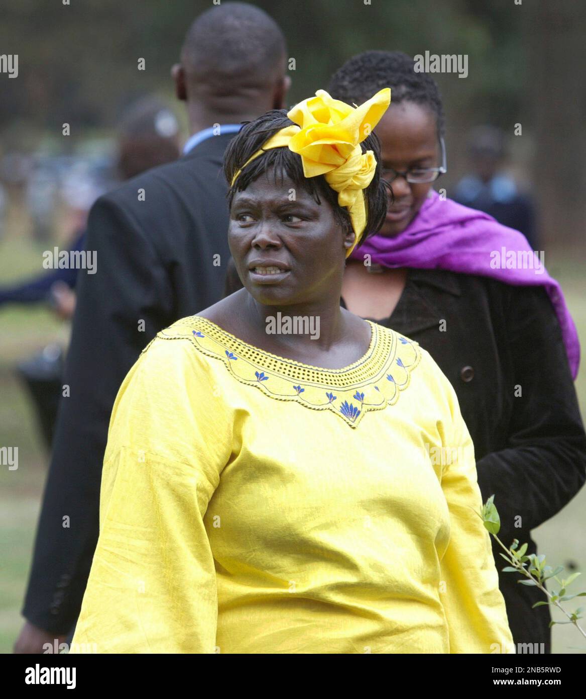 FILE - In this file photo of Aug. 28, 2006 Wangari Maathai, Noble Peace Laureate and conservation heroine, is seen in Nairobi, Kenya. Wangari Maathai, the first African woman recipient of the Nobel Peace Prize, died after a long struggle with cancer, the environmental organization she founded said Monday Sept. 26, 2011. She was 71. One of Kenya's most recognizable women, Maathai won her Nobel in 2004 for combining science and social activism. She was the founder of the Green Belt Movement, where over 30 years she mobilized poor women to plant 30 million trees. (AP Photo/Sayyid Abdul Azim, File Foto Stock