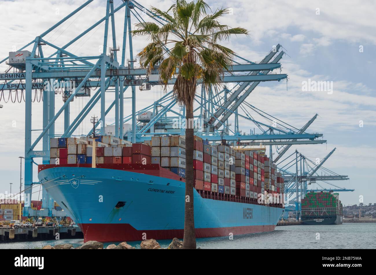 La nave portacontainer Clementine Maersk è ancorata ai terminali APM. Foto Stock