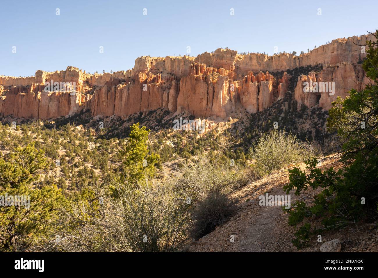 Scogliere ombreggiate del Bryce Canyon dal sotto il Rim Trail in estate Foto Stock
