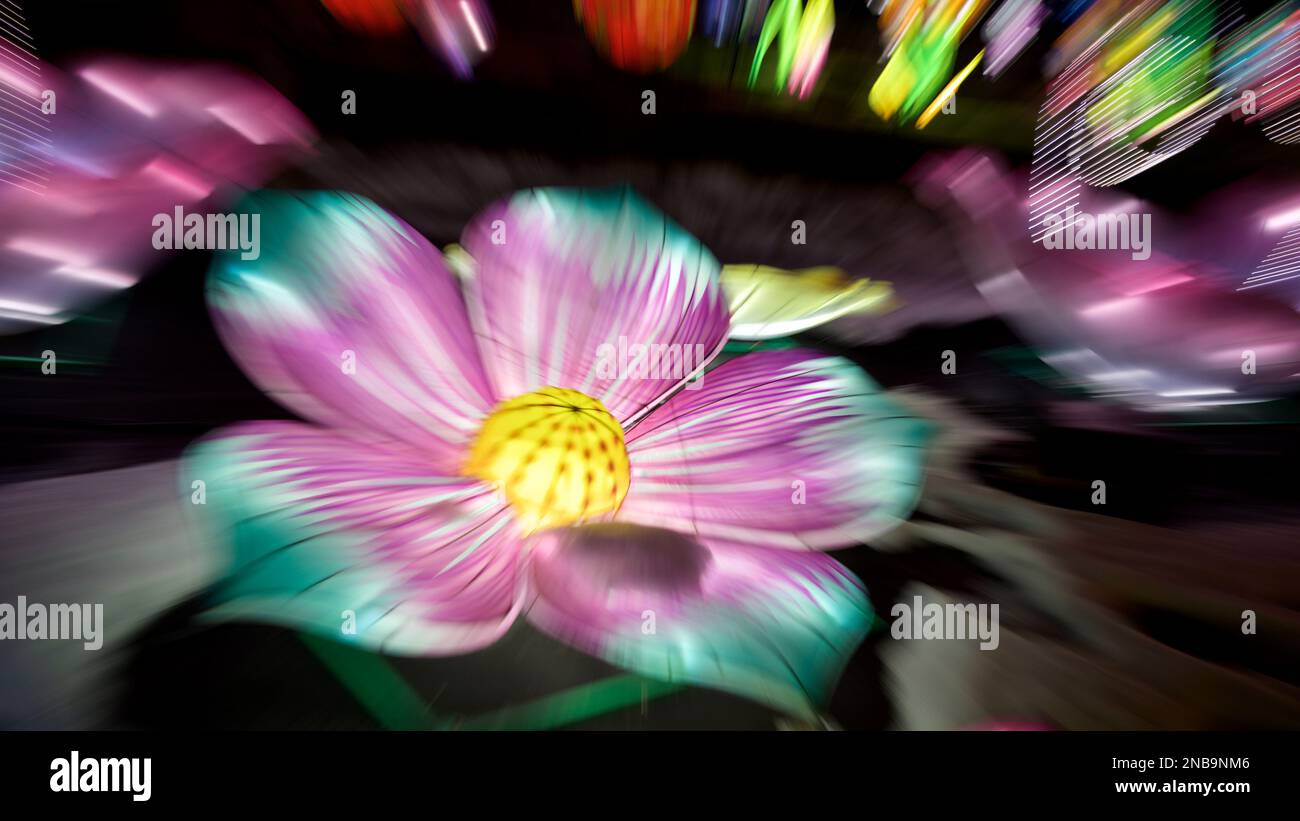 Effetto dello zoom avanti e indietro della fotocamera durante lo scatto Foto Stock