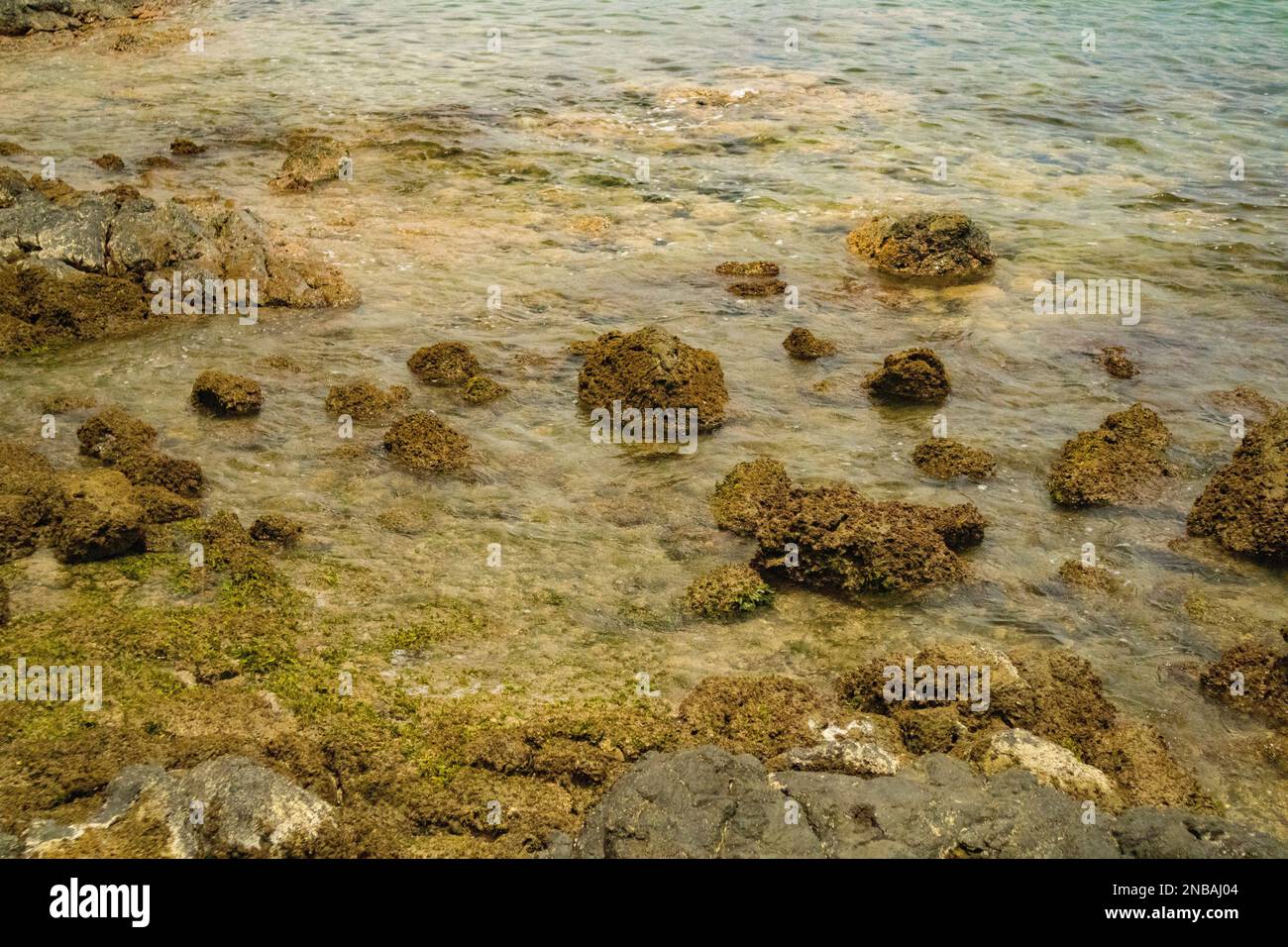 Penca Beach, bella spiaggia nascosta nella provincia di Guanacaste Costa Rica Foto Stock